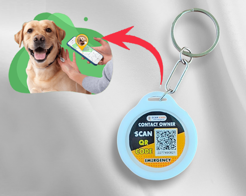 Locket copy